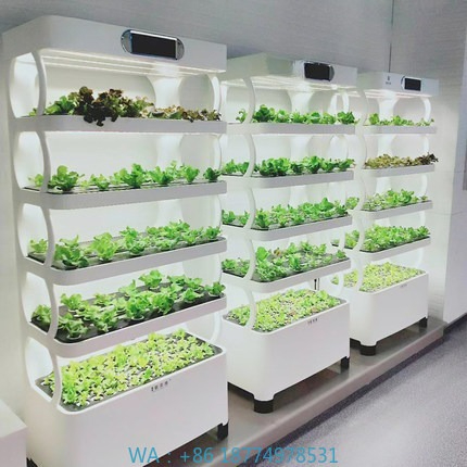 Hydroponic Automated Grow Syst - огляд і ціна Home Automation Systems Diy